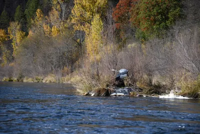 DSC_0245 (Large).JPG